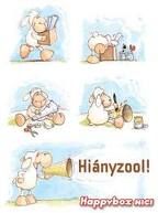 hianyzol.jpg