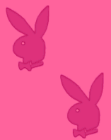 pink-playboy-bunny-cute-rabbits-image.gif